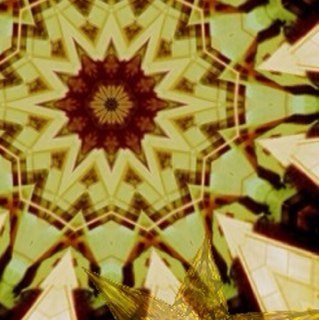 hirohiroug's profile picture. 40代の既婚サラリーマンです🌾 フィクションとして投稿しています。一緒に楽しめる裏垢女子の皆さん、興味があればぜひ気軽に声をかけてください！(ᵔᴥᵔ)  お問い合わせはDMまたは こちらのフォームからどうぞ：https://t.co/aYrIVd6EfB