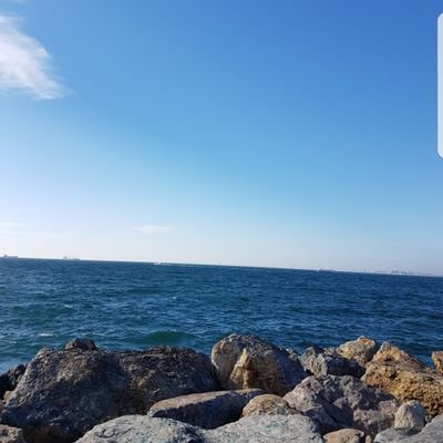 Cemre63881069's profile picture. 