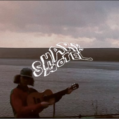 sharkhoteI's profile picture. sheffield slacker dream pop