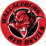 Official Twitter of the Wallaceburg Jr. B Red Devils. 2001 Founders Cup Champions #WRD @OJBLL #WWTAH