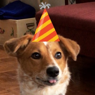 BigAppleMax's profile picture. Lets GO Mets!