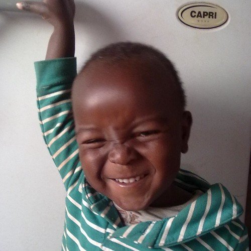 rngara2001's profile picture. 