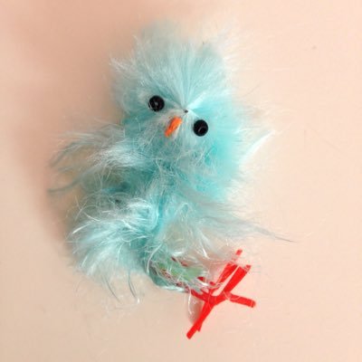 SalomeEscriba's profile picture. 