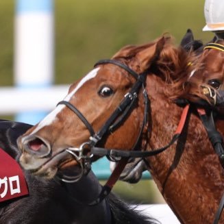 クボメンテの競馬のアイコン