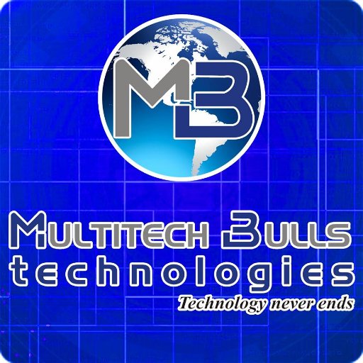 multitechbulls's profile picture. IT Company