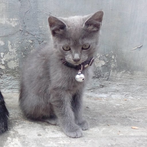 Tinggal sendiri, tadinya berempat.