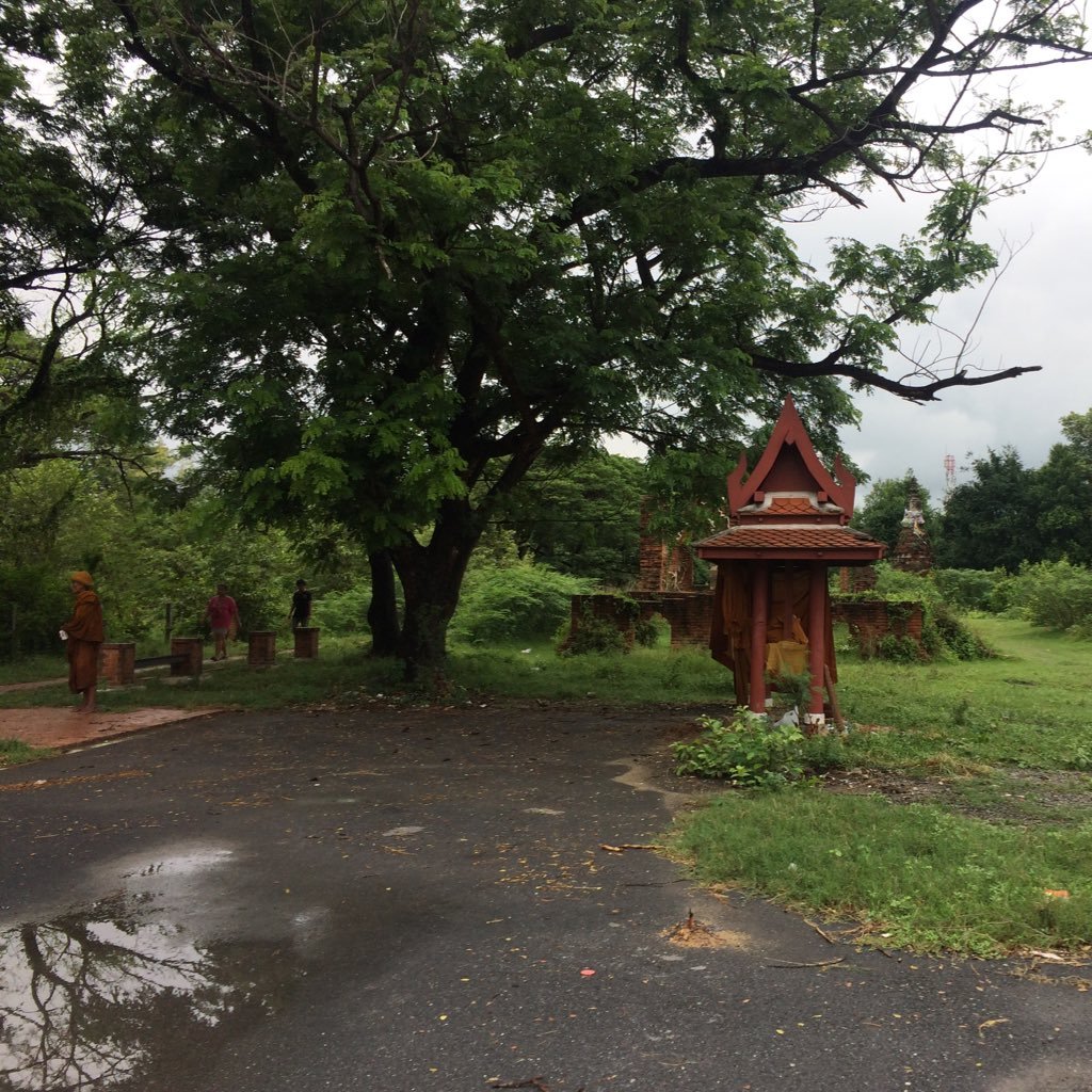 simplepath123's profile picture. Questioning but sharing