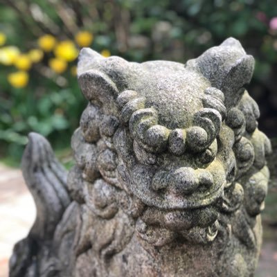 Wittey90's profile picture. 🌱