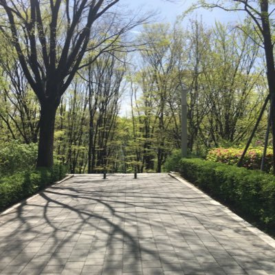 arcmoon_'s profile picture. 