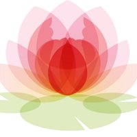 Rachel Corcoran (@lilypadpr) 's Twitter Profile Photo Rachel Corcoran (@lilypadpr) 's Twitter Profile Photo
