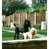 maria89 (@mariakt89) 's Twitter Profile Photo