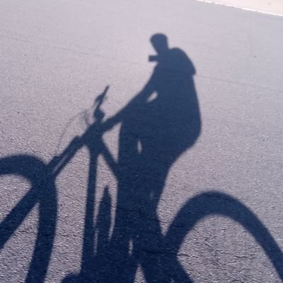 DaveEsterhuizen's profile picture. 