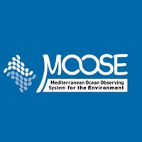MOOSE (@os_moose) 's Twitter Profile Photo MOOSE (@os_moose) 's Twitter Profile Photo