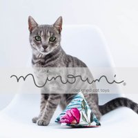 minoumi.cats (@minoumicats) 's Twitter Profile