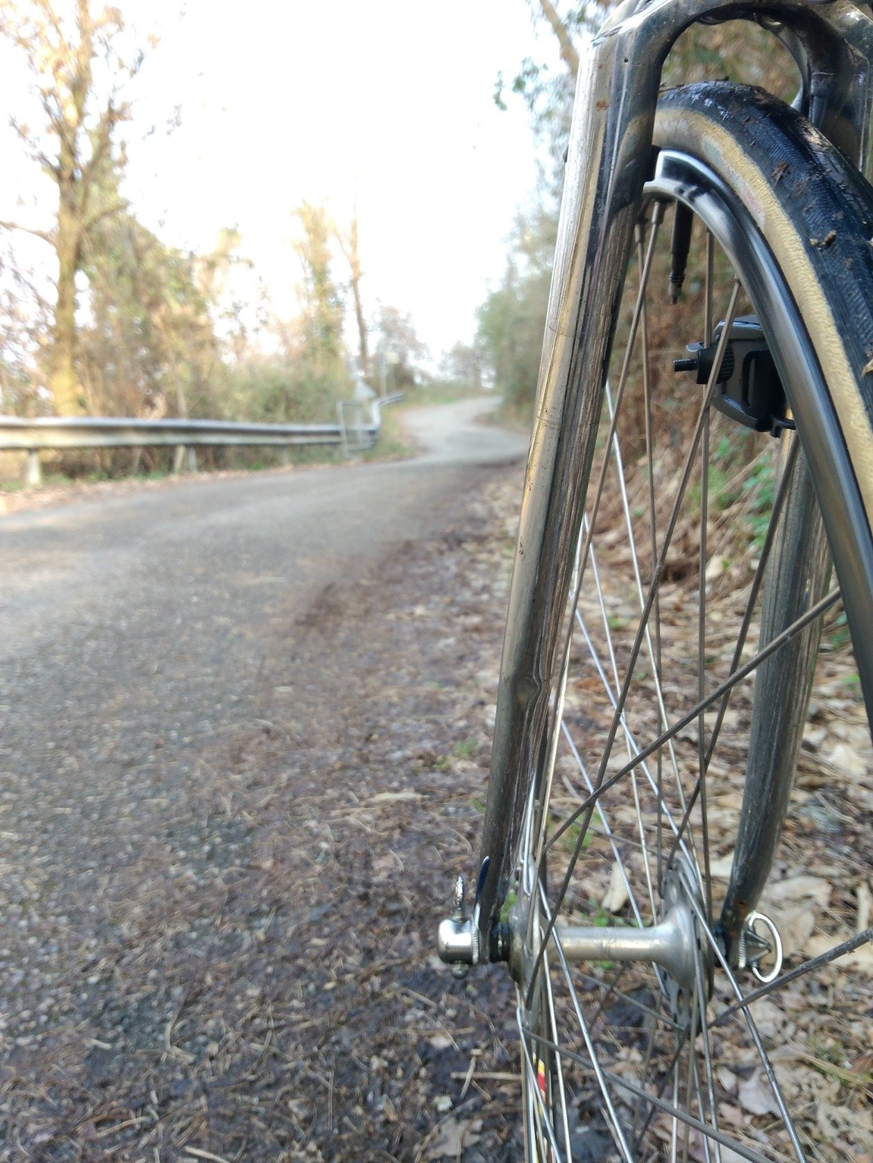 korsivobike's profile picture. Berghém mola mia
#biciacciaio twitterdiario di un #biciclista della domenica
Se non riesci ad uscire dal tunnel, arredalo