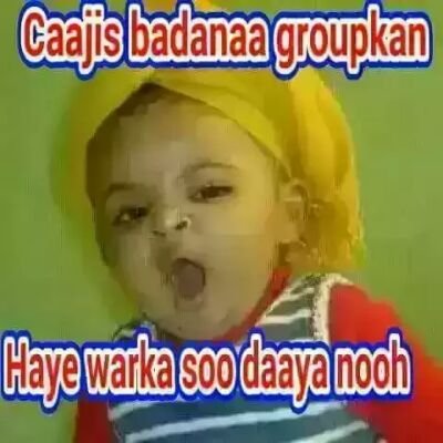 Aweys24379967's profile picture. 