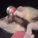 Larry Hausman - @lehausman - Twitter