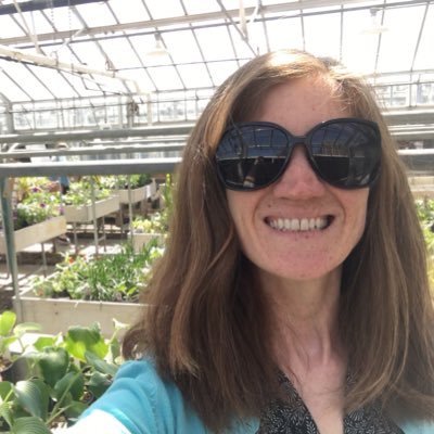 Science writer (mostly ag, environment) for @ACESIllinois. Plant ecology Ph.D. Find me at @lquinnphd.bsky.social