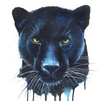 Midlo Art (@midloart) 's Twitter Profile Photo Midlo Art (@midloart) 's Twitter Profile Photo