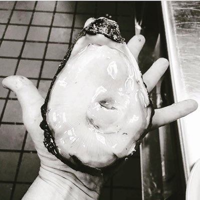 roux61_natchez's profile picture. Specializing in a yummy mash-up of Southern flavors you won’t find anywhere else! Our food has a deliciousness that elevates each dish from good to “good lawd!”