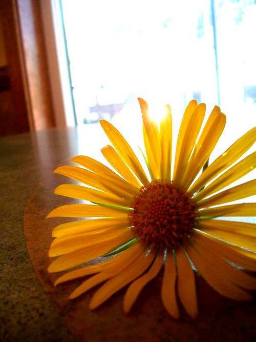 hii, im Timmarie i live in alaska. i love my friends, music, bright colors, and photography.