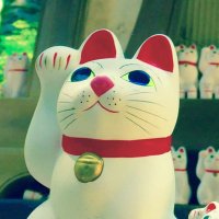 りんで (@rinde0650) 's Twitter Profile