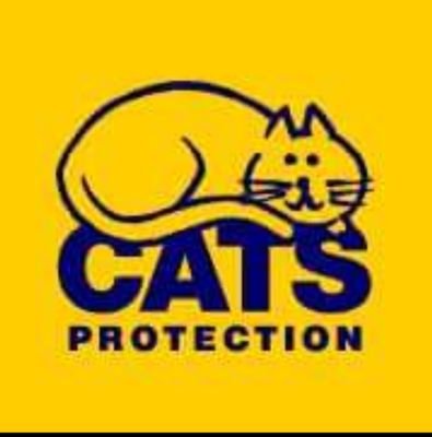 Cats Protection Community Cat Watch aims to track & record all homeless cats living in the postcodes of LU5 5 & LU5 4 in order to improve their longterm welfare