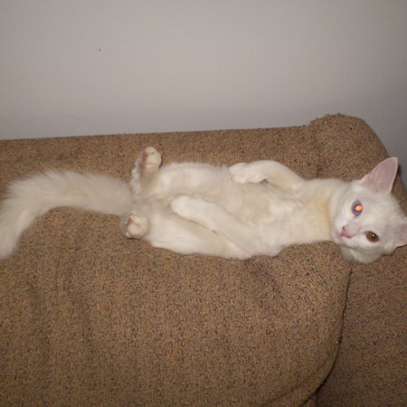AndreaF64130806's profile picture. 
