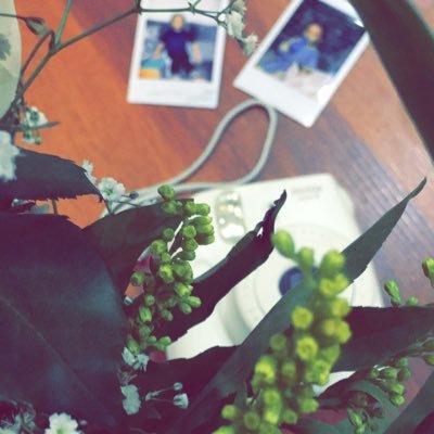 Ara3li14's profile picture. ﮼انثى،الحوت،محبةللتسوق،والبحث عن عروض التسوق والسفر  ﮼عبرحسابي،انستجرام،نطلب،لكم،من،المواقع،العالميه،بعمولة،تواصل ،خاص ﮼اوانستجرام