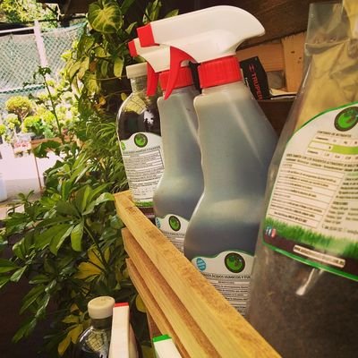 SolucionesNatu4's profile picture. plantas ornamentales fulvicos acidos humicos fertilizantes organicos sistema de riego