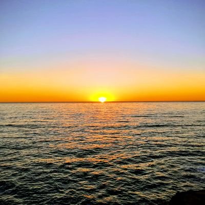 sunrisecarter's profile picture. aspiring teacher. boy mom. animal lover.