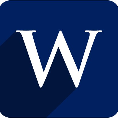 wittijconsult Profile Picture