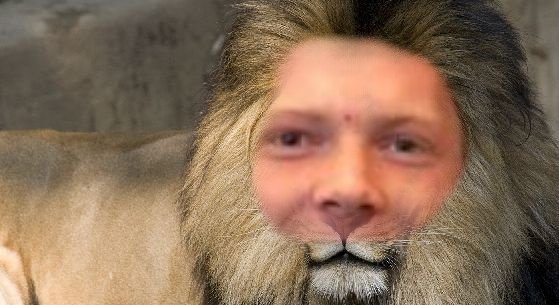 I am a perched lion. My strength in pursuing a challenge increases relative to the amount of adversity I am faced with.
