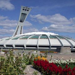 Fan de l'impact de Montreal #imfc
Au stade a chaque match depuis 4 ans.