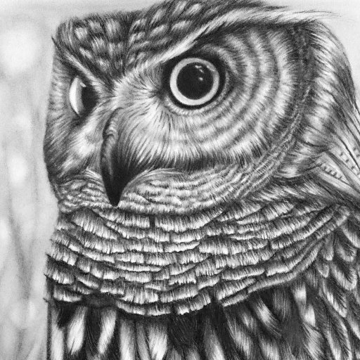 Marcos_Heiligen's profile picture. 