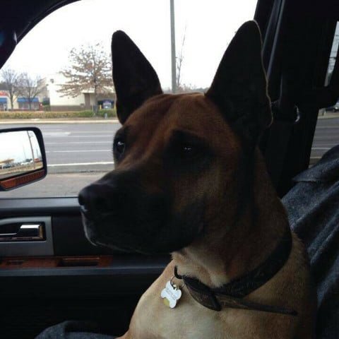 jamesblount5324's profile picture. 