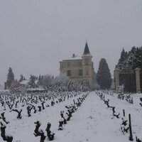 TheWineCastle (@thewinecastle) 's Twitter Profile