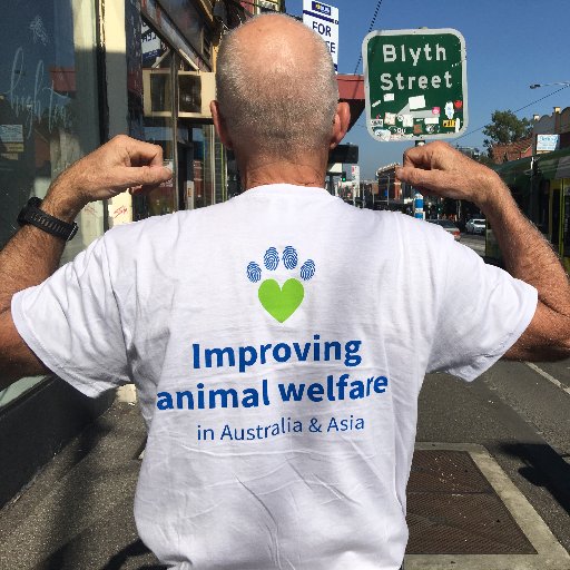 Vets for Compassion is a small organisation, run entirely by volunteers, and our mission is to improve animal welfare both in Australia and in Asia.