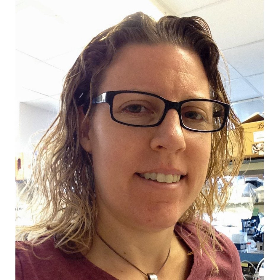 Principal Investigator focused on insulin resistance. Cyclist, photographer and runner (when not broken).