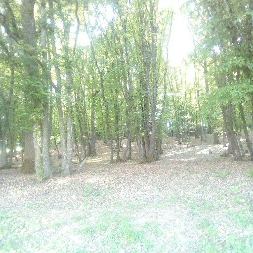 hajnicsilla1's profile picture. 