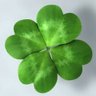 LuckyHappens's profile picture. Luck is what happens when preparation meets opportunity