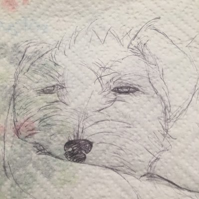 redhorizon1789's profile picture. il capitalismo è alle corde, l’arroganza del potere basato sui soldi e sull’instillare paura anche! 😉......🐬 #freepalestine