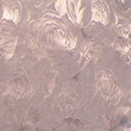 MmamTree's profile picture. love R&R,The Inheritor,Tricolor, etc
Had an operation for breast cancer in 2021 and still recovering