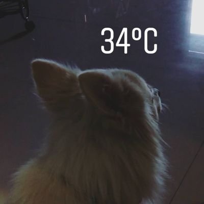 BethaRaghu13's profile picture. I'm hoooman being so treat me like one 😂😂


thank you :)