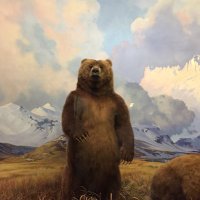 Heyo! (@isit1991) 's Twitter Profile