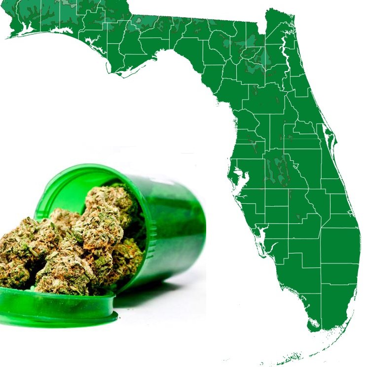 Educating Florida on the medical benefits of cannabis.