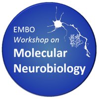 EMBO_MolNeuro_2018 (@embo_molneuro18) 's Twitter Profile Photo EMBO_MolNeuro_2018 (@embo_molneuro18) 's Twitter Profile Photo