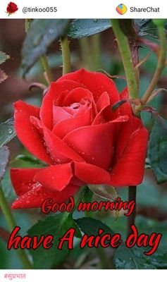 VijayKu01103897's profile picture. I'm lic adviser