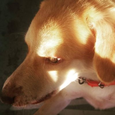 shielaxx_m's profile picture. trust no one.