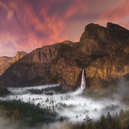 DigixdaoDGD's profile picture. 